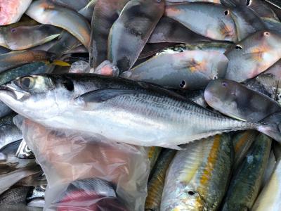 Cá biển làm sạch giá sỉ