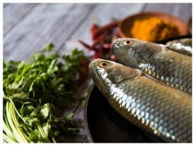 Cá đông lạnh giá sỉ cho suất ăn công nghiệp