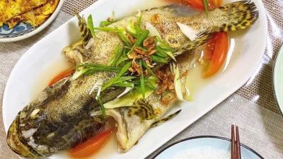 Cách chọn cá song tươi sống