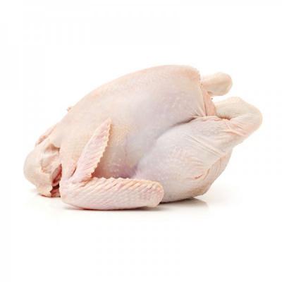 Đơn vị cung cấp gà dai Hàn Quốc tại TP HCM