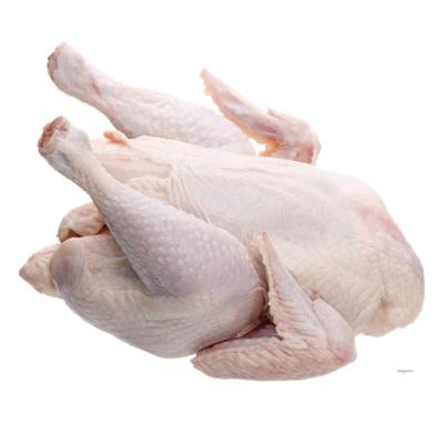 Gà đông lạnh giá sỉ cho căn tin, trường học 
