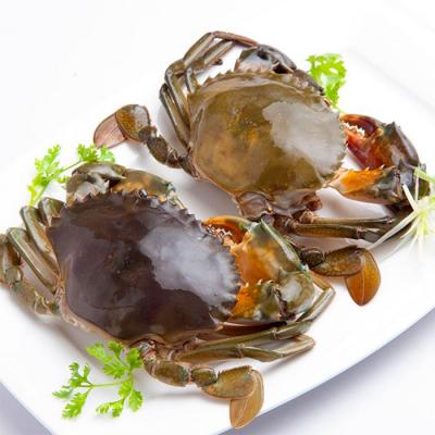Mua bán cua Cà Mau tại quận Hoàn Kiếm