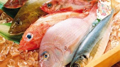 Mua thực phẩm nhập khẩu giá sỉ chất lượng tại huyện Bình Chánh