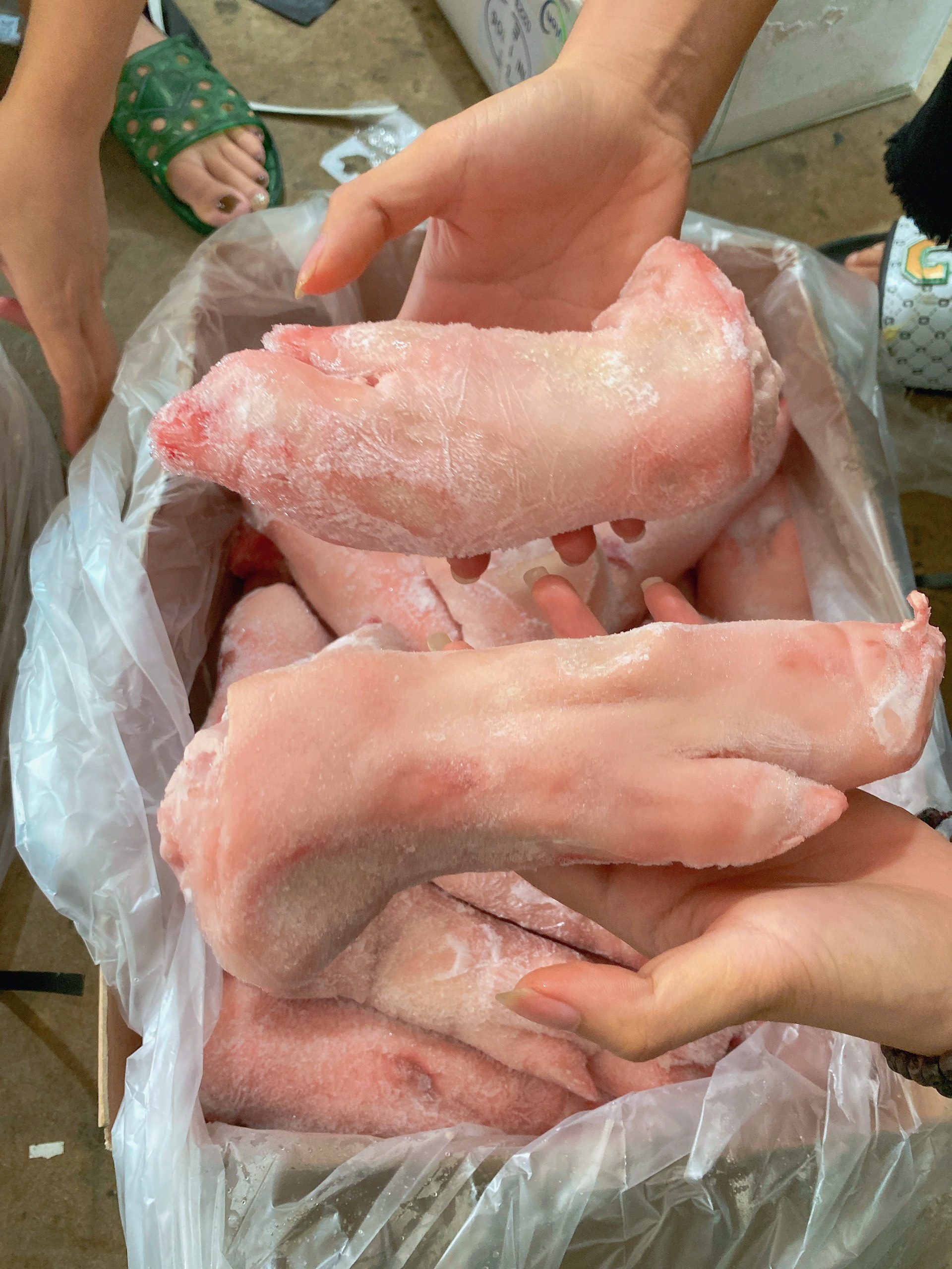 Dựng trước heo Đông Lạnh