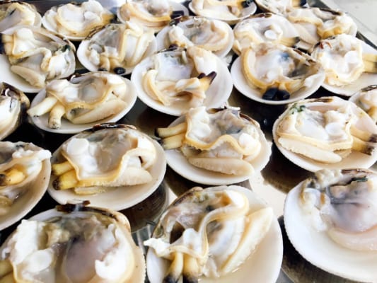 so thung- ngao thung- hai san tuoi song ha noi