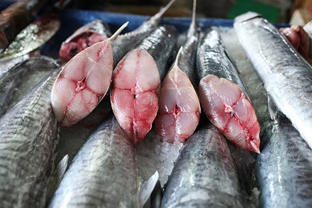 Phân biệt cá biển tươi đông lạnh trong kho lạnh và cá chết trước khi đông  lạnh