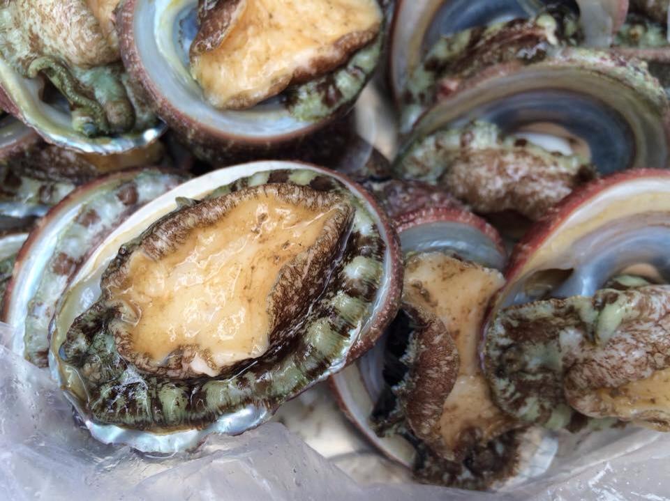 BÀO NGƯ VÀNG THIÊN NHIÊN - MÓN ĂN NGON BỔ DƯỠNG - RẺ