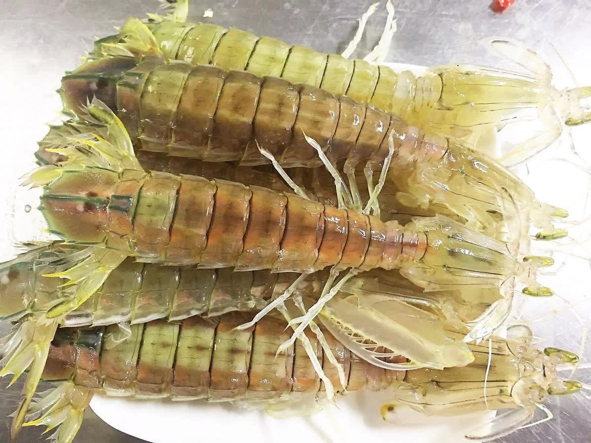 Bề bề chúa khổng lồ ngon hơn cả tôm hùm, giá gần 2 triệu/kg vẫn được yêu thích