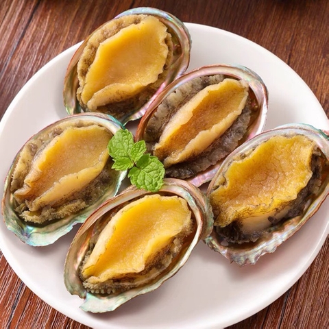 Bào ngư Hàn quốc 0.5kg