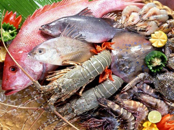Hải sản được 